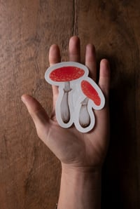 Image 1 of Mushroom duo clear vinyl sticker