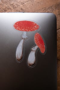 Image 2 of Mushroom duo clear vinyl sticker