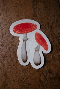 Image 3 of Mushroom duo clear vinyl sticker