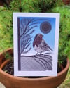 Robin Card
