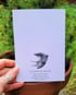 Robin Card Image 4