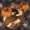 Pumkin Cat