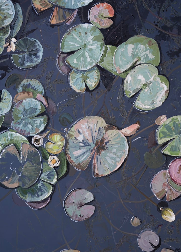 Image of LILY POOL - GICLÉE PRINT