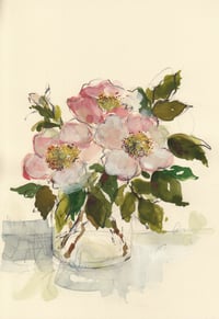 Jar of dog roses