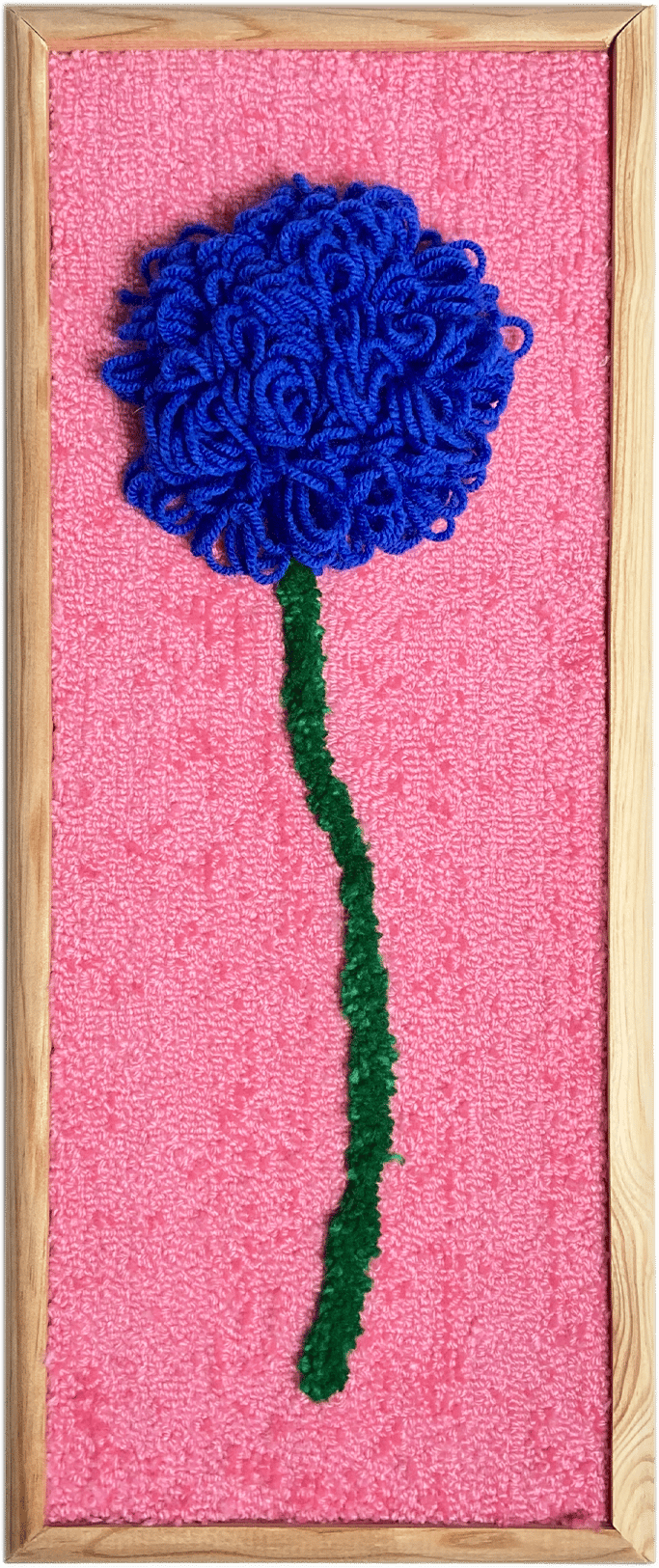La petite fleur bleu et rose