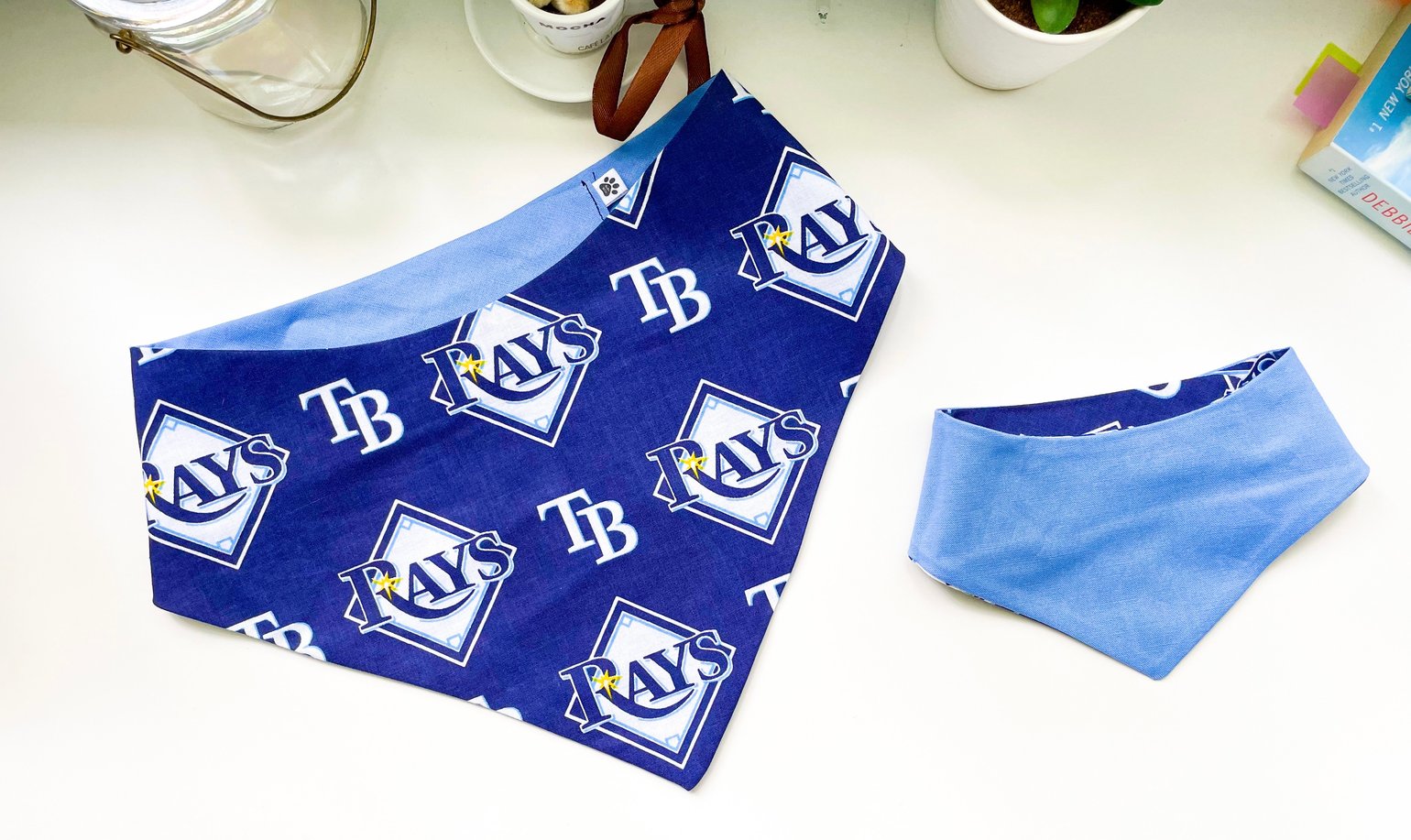 Tampa Rays Bandana 