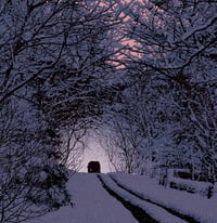 Image 3 of "Take Me Home - PINK EDITION