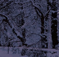 Image 4 of "Take Me Home - PINK EDITION