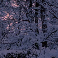 Image 5 of "Take Me Home - PINK EDITION