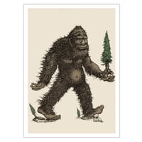 The Sasquatch - Protector of the Forest