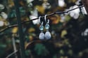 Kyanite fern hoop earrings 