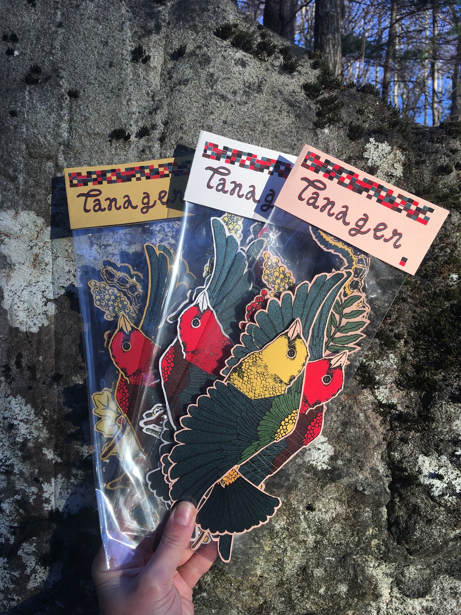 Image of Scarlet Tanager Mobile Set