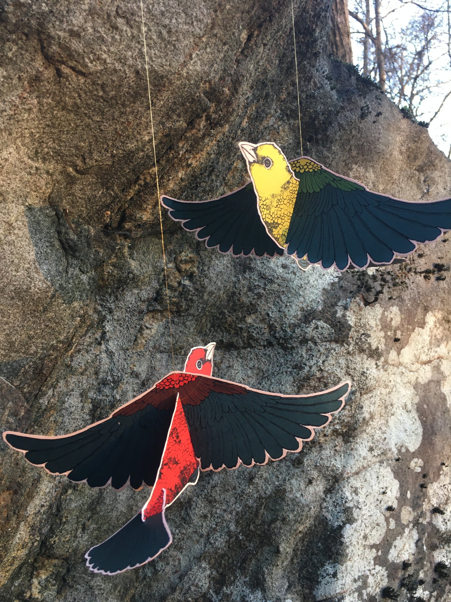 Image of Scarlet Tanager Mobile Set