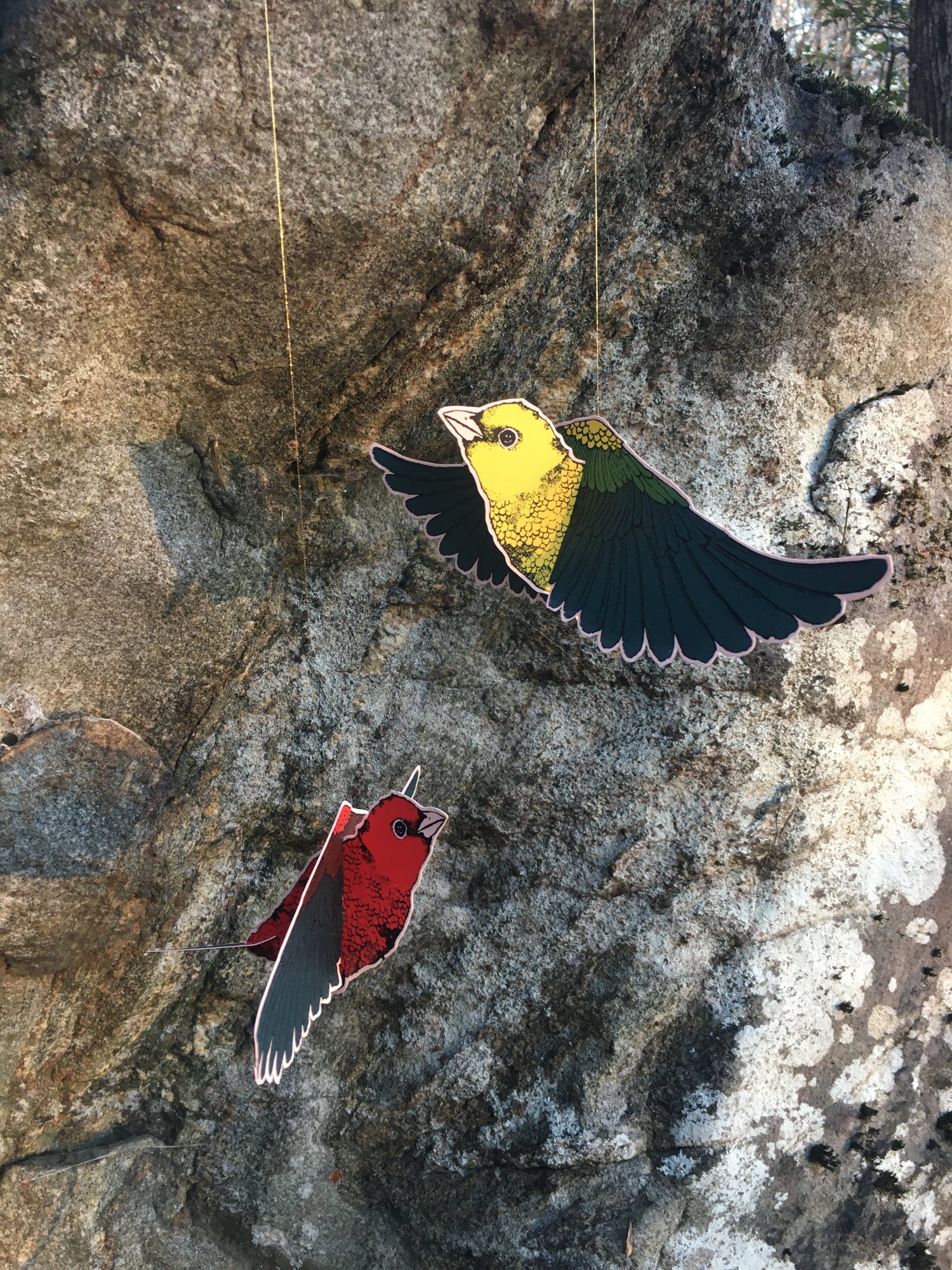 Image of Scarlet Tanager Mobile Set 