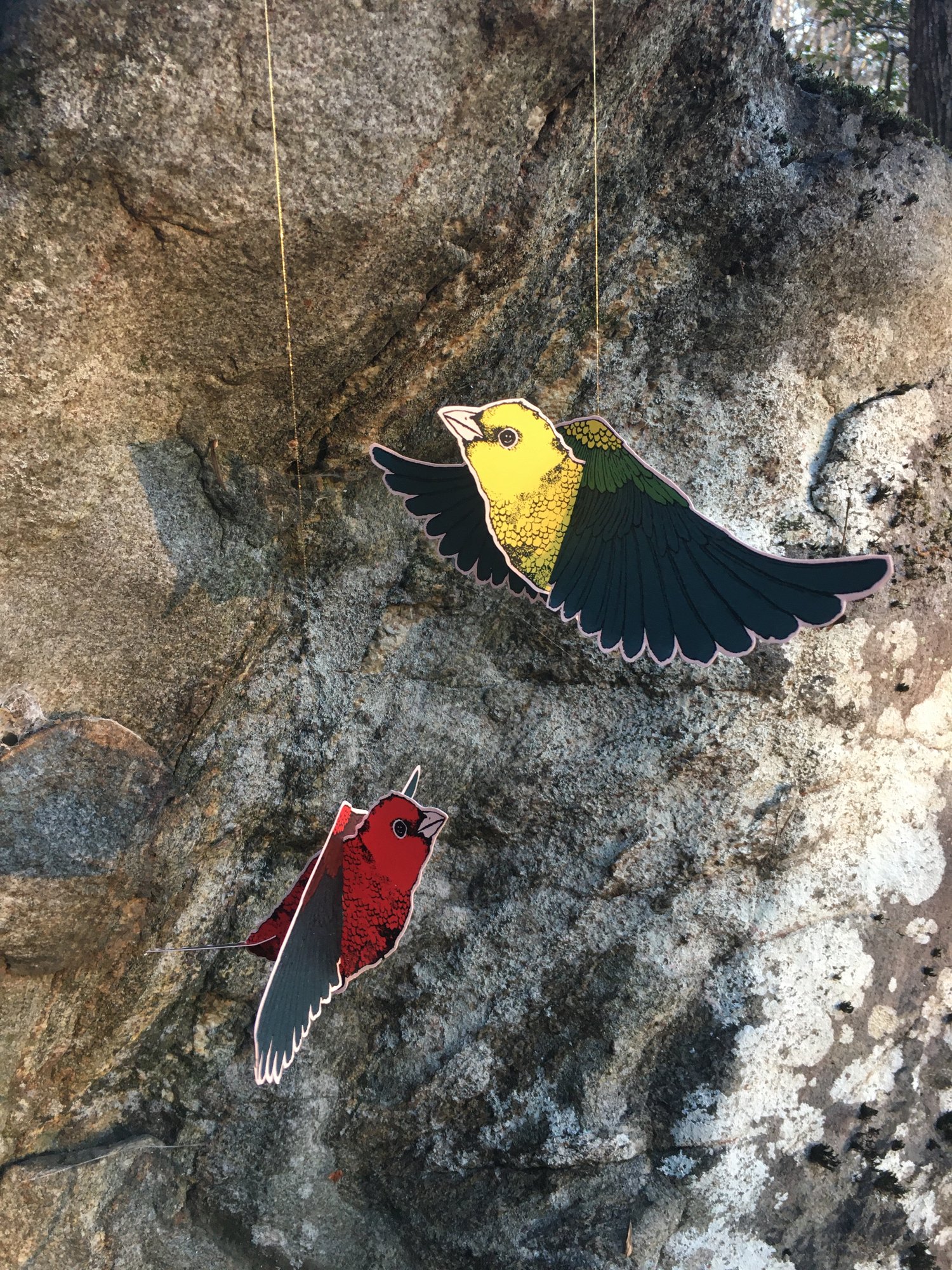 Image of Scarlet Tanager Mobile Set