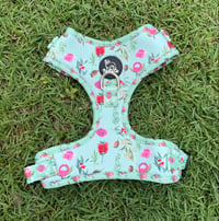 Wildflower in mint harness  - Pawty co. 