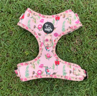 Wildflowers in peach harness - Pawty co. 