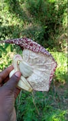 Duck Flower Detox Capsules 