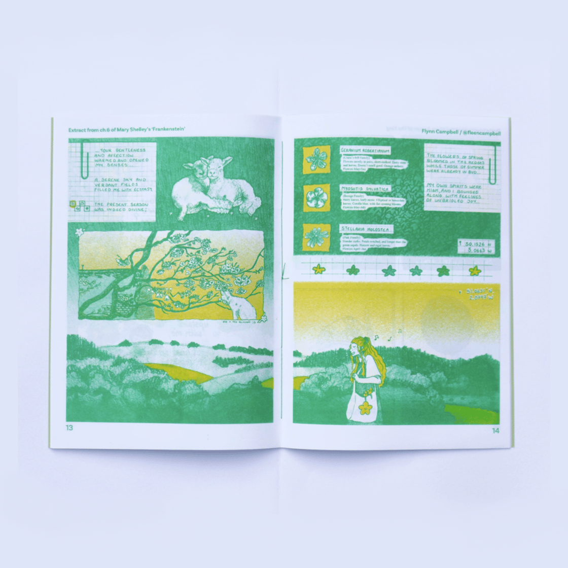 Image of spring zine