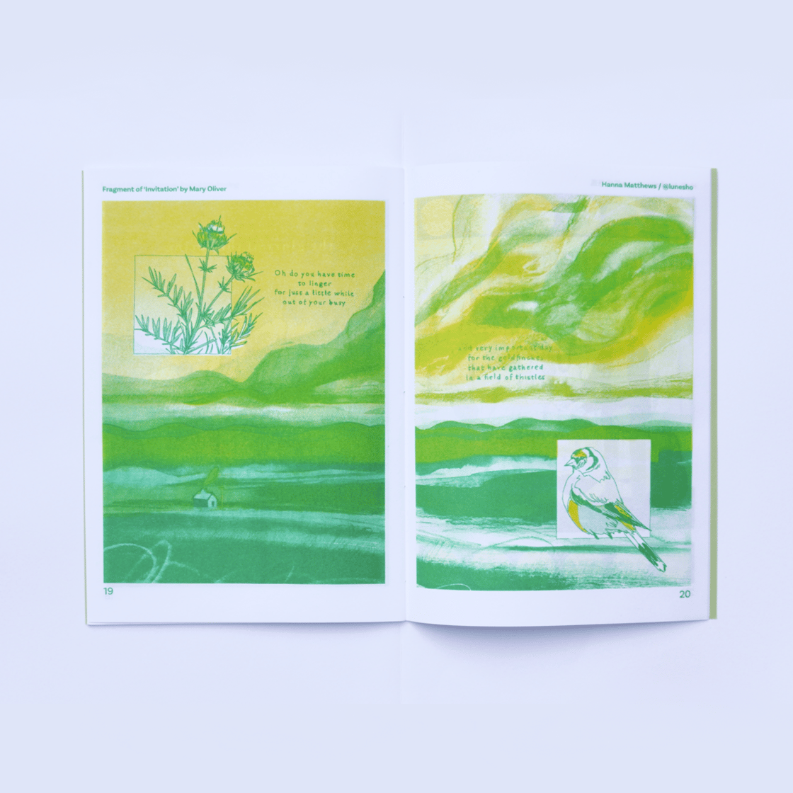 Image of spring zine