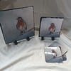 Winter Robin Slate