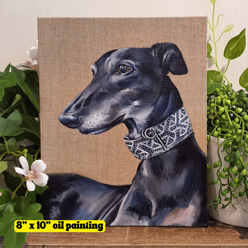 Pet Portrait