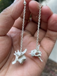 Image 2 of vertebrae dangles