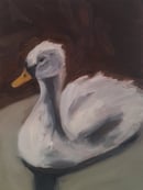 Image 1 of Cygne