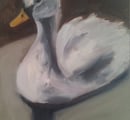 Image 3 of Cygne