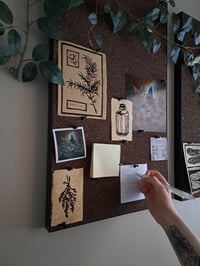 Image 3 of The Forager