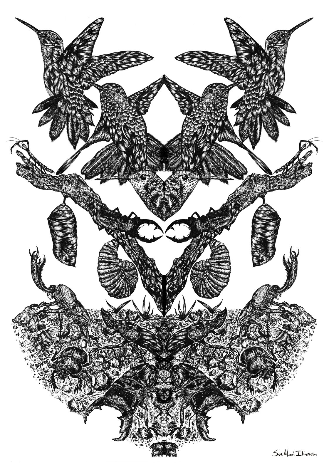 Image of Birds and Beetles A3 Print