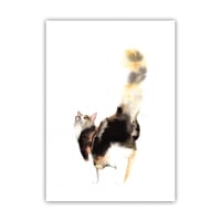 Image 1 of Postkaart kat 2