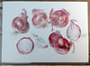 Limited Edition Red Onions Print A3