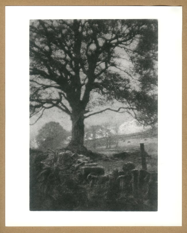 Looking towards Shay Lane from Digley.