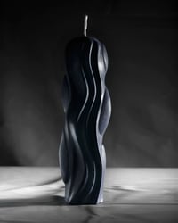 EVANIIDA -- Blue intermediate