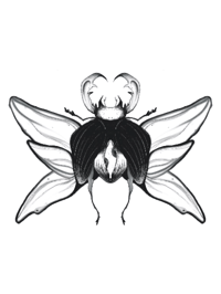 Image 4 of beetle stickers