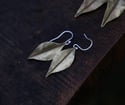 Brass Dryad leaf earrings