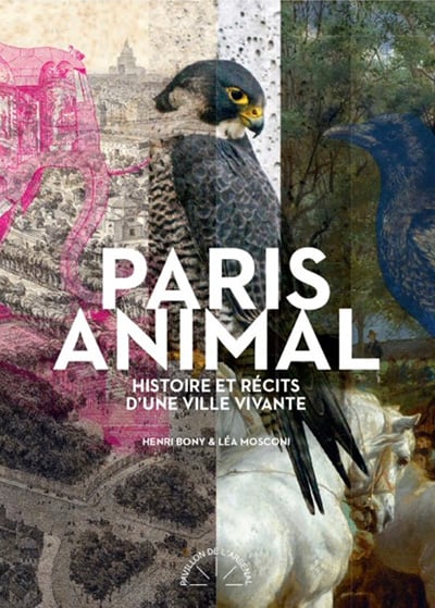 PARIS ANIMAL - Léa MOSCONI / Henri BONY