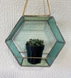 Hex Plant Holder in Green