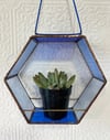 Hex Plant Holder in Blue