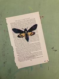 Moths: Death's Head