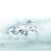 Image 1 of SVALBARD ROCK PTARMIGAN - Original
