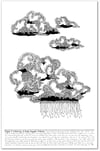 Figure 5: Various mosses Print