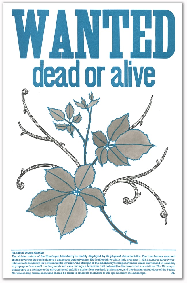 Figure 6: Rubus discolor Print