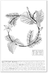 Figure 11: Taxus brevifolia, Corylus cornuta & Trillim ovatum Print