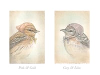 Image 4 of Original Art: Warbler in a Headscarf