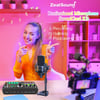 Zealsound Professional Podcast Microphone 