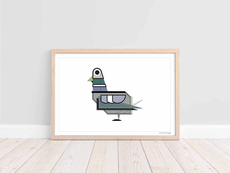 Pigeon