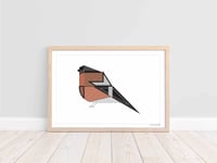Bullfinch