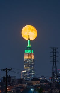 Image 1 of Blue Moon
